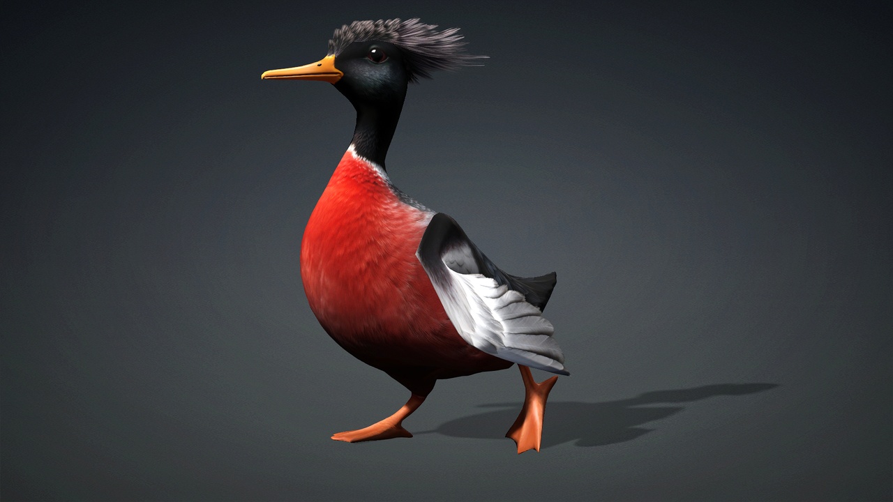 Canard de Garnison équipé d'une carapace