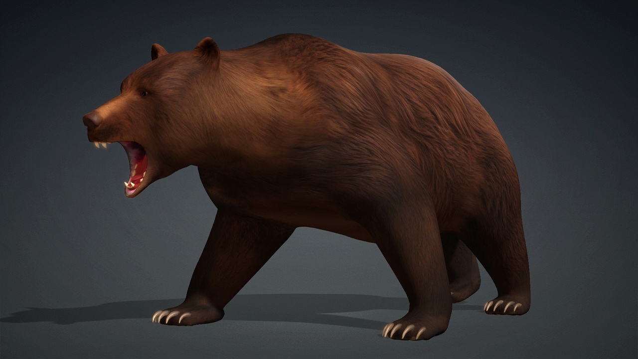 Ours sentinelle d'Eragonnes